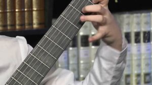 Pieter van der Staak - Beautiful flower. Performed Vasylyna Shashkova.