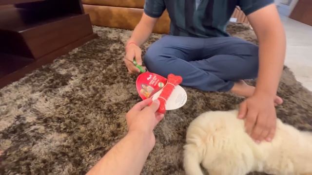 Finally New Family Member Sunny Ko Surprise Deya ? смотреть онлайн