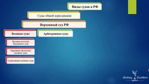 Виды судов в Российской Федерации и их характеристика