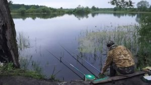 Ловля карасей на пруду