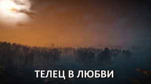 ТЕЛЕЦ - Характеристика знака.