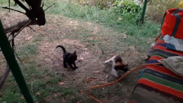 💙Не Вышедшие Видео | Роблокс, Парк Партизанской Славы, Помокли, Мнения. | Kirill Life⚪ смотреть онлайн