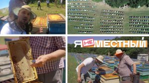 Я не местный. Село Юца: пасеки, пасечники и пчёлы