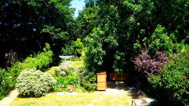 canon powershot A490 snap shots смотреть онлайн