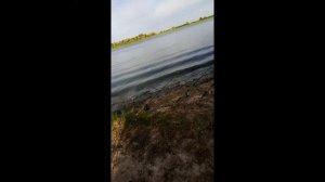 Рыбалка Рогожкино (Ростовская область)