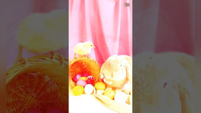 Поздравления с великой Пасхой! смотреть онлайн