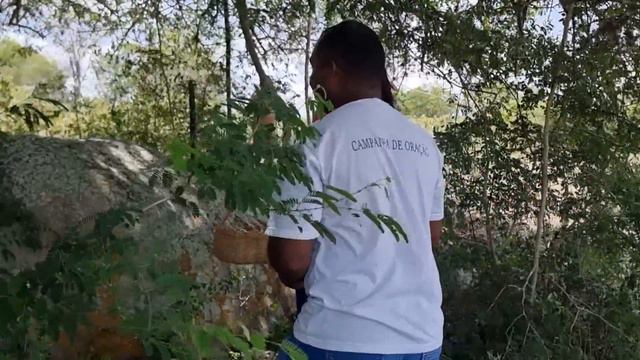 EM BUSCA DA MELHOR FRUTA DA CAATINGA NORDESTINA COM A FAMÍLIA XAVIER смотреть онлайн