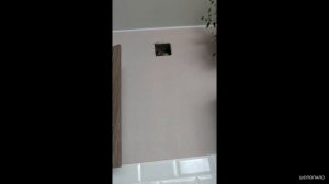 Как достать кота из вытяжки