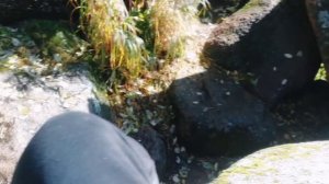 СТОЛБЫ КРАСНОЯРСК. С КОМПАНИЕЙ.