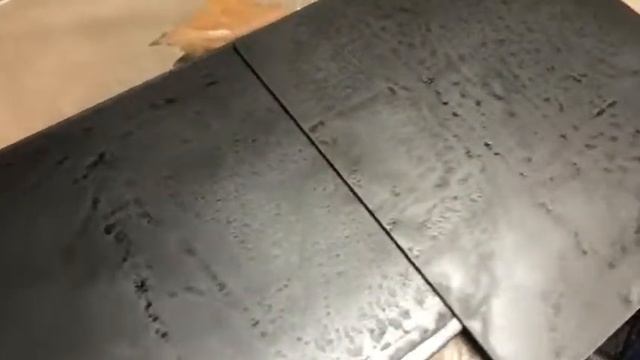 Металлические панели с художественной обработкой!