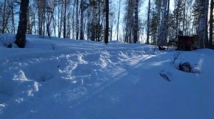 Мотособака испытание на прочность- самодельного лыжного модуля.#мотобуксировщик#мотособака#лес#