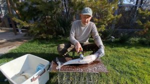 Рыбочистка электрическая для рыбы ТЕХСОЛ К7 6000 об. мин, 98 Вт, 6 лопастной нож