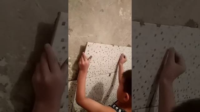 Кафельщик семилетний