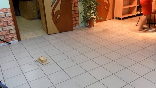 конкурс к 8 МАРТА ! смотреть онлайн