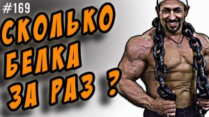 сколько белка усваивается за раз | 30 грамм белка, рак, дробное питание ?