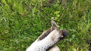 МИНЕЛАБ Е-ТРАК ПОСТАВИЛ ВСЕХ РАКОМ!