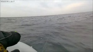 СУДАК в отвес на РАТЛИН  ВОЛГА осень 2020