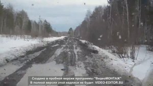 дорога Зыкова Линты Гаринский ГО Свердловская область