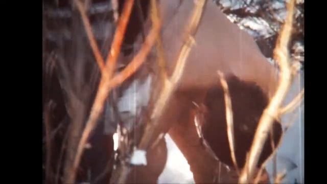 Хибины, лыжный поход