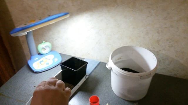 Рассада в улитку, простое приспособление смотреть онлайн