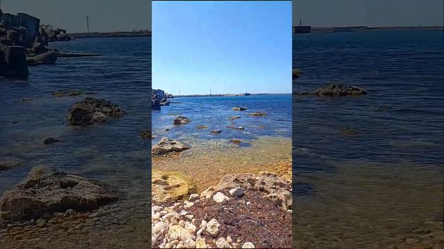 Необитаемый пляж, какой улов #sea #лето #2023 #beach #diving #море #краб #добыча