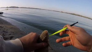 ЛЕЩ НА ФИДЕР В ОКТЯБРЕ! РЫБАЛКА НА РЕКЕ ДНЕПР. Давно не видел такой раздачи!