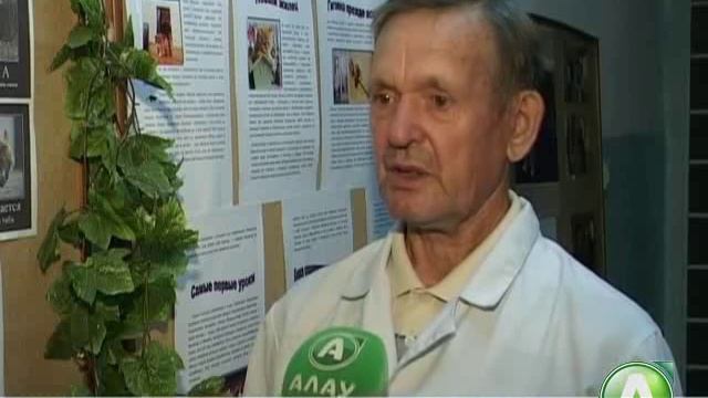 В Костанае бездомные животные могут лишиться приюта смотреть онлайн