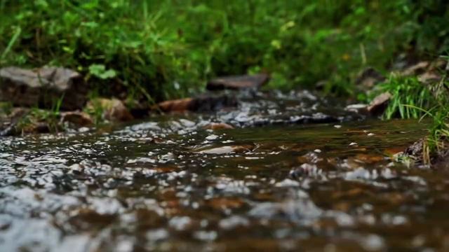 Национальный парк «Зюраткуль» смотреть онлайн