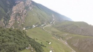 Охота на грифов