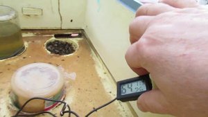 работы на пасеке в апреле и в мае - про утепление расплодного корпуса, особенности и засады