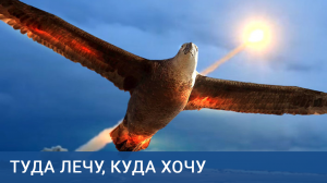 Россия запускает "Буревестник"