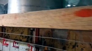 20 день. Начало Второй Пропойки. Выращивание Бройлеров В Домашних Условиях.