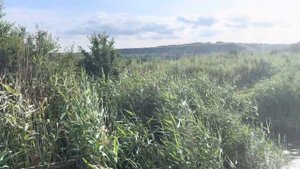 Переезд на юг, река Тузлов, село Лысогорка