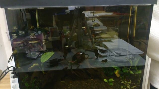 Аквариум на работе. Установка компрессора. смотреть онлайн