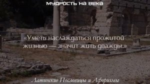 Меткие латинские пословицы о том, как следует жить. Крылатые латинские фразы и поговорки.