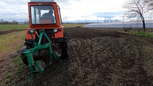 Т 25 пашет под гору. Выставили самодельный плуг