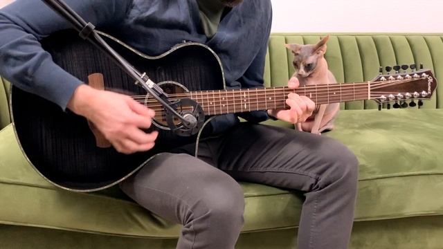 Ibanez 12 String Acoustic Electric Transparent Black Burst Demo смотреть онлайн