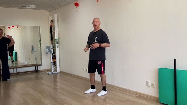 Ицюань Санкт-Петербург / Основы столбовой практики / Тест столбов с партнёром (28.05.22) #3
