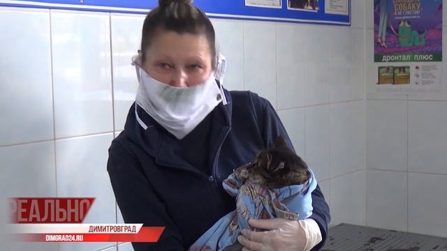 Вакцина для четвероногих смотреть онлайн