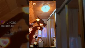 Драконы из лайка видео не мои часть 1