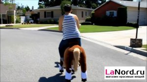 Поницикл для взрослых