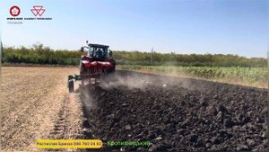 💥Трактор Massey Ferguson 7724s + плуг Kverneland LD-100 5 корпусів Оранка саду. Огляд роботи в полі