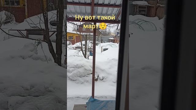 ??Утро, капучино делаю сама?? ПП БУЛОЧКИ для бутеров за 5 мин. ???