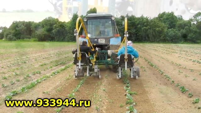 Прополка капусты Культиватором-полольником междурядий КПМ-2 так называемым Эко-корректором