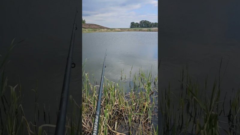 Рыбалка. Караси.