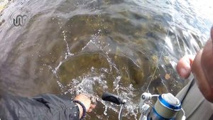 Рыбалка в Монголии или записки беспризорников