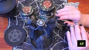 Чур меня Муха зимой Светлана ВЕДА