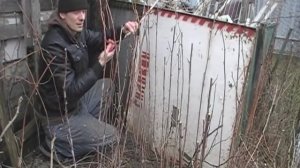 Обрезка малины. И как правильно обрезать малину.