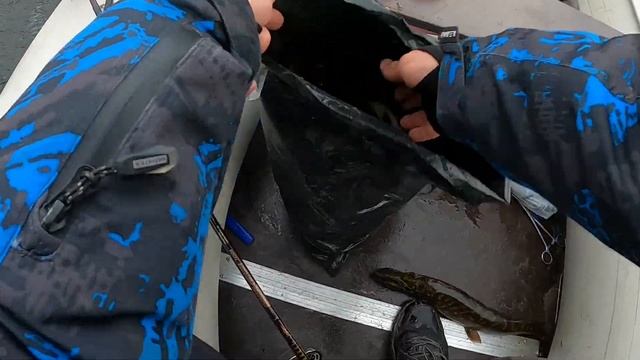 ДУРНАЯ ЩУКА ЖРАЛА КАК НЕ В СЕБЯ. ОСЕННЯЯ РАЗДАЧА ЩУКИ смотреть онлайн