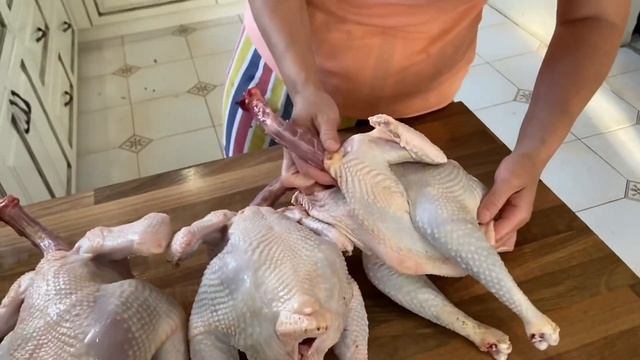 Неплохие результаты цветного бройлера и Амрокс ! смотреть онлайн